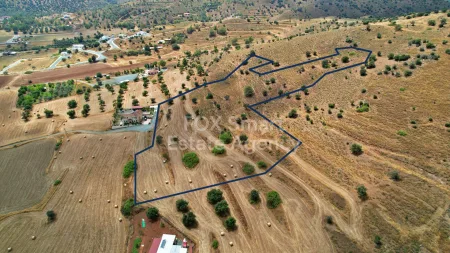 Residential Land for sale