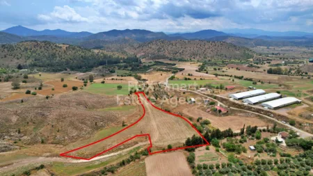 Residential Land for sale