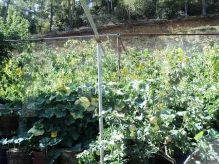Οικιστικό Οικόπεδο προς πώληση