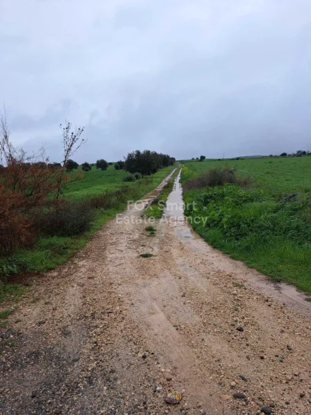 קרקע למגורים למכירה