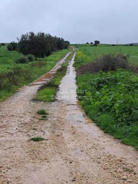 קרקע למגורים למכירה