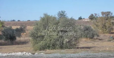 קרקע למגורים למכירה