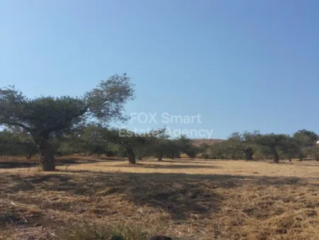 קרקע למגורים למכירה