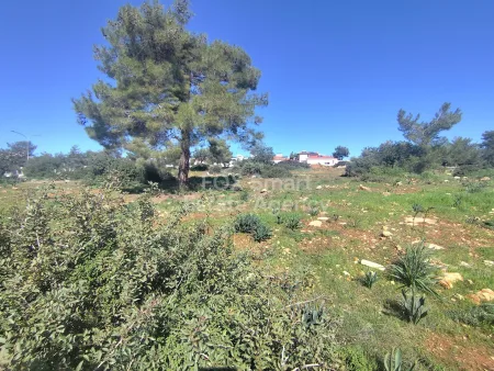 Οικιστικό Οικόπεδο προς πώληση