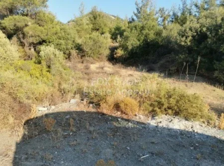Pirgos, Limassol