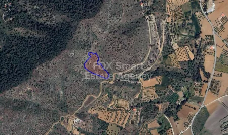Αγροτεμάχιο προς πώληση