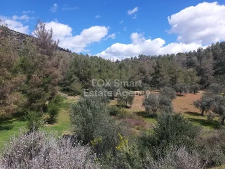 Αγροτεμάχιο προς πώληση