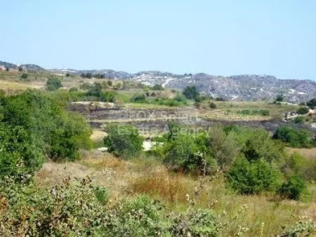 ארץ כפרית למכירה