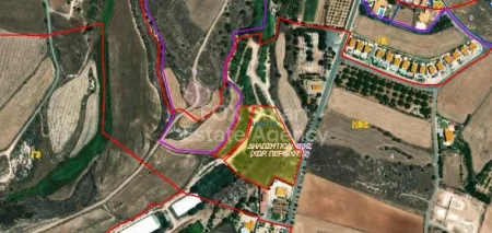 Anarita, Pafos