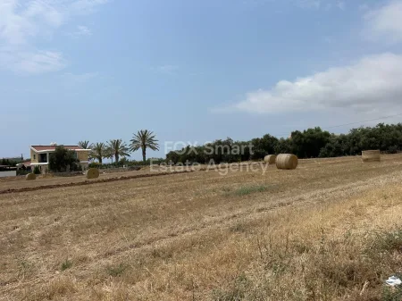 פגיה, פאפוס