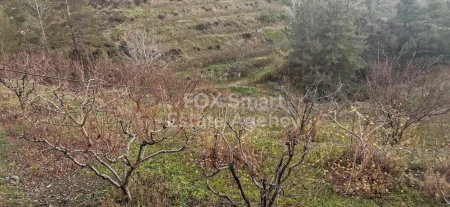 קרקע למגורים למכירה