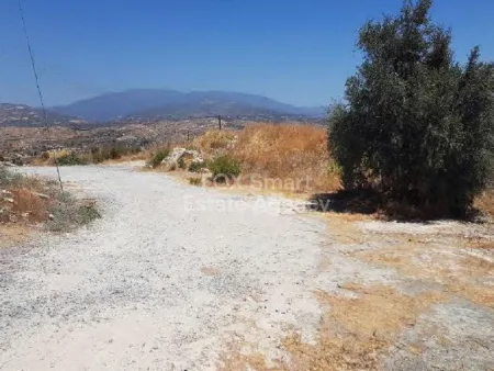 Pachna, Limassol