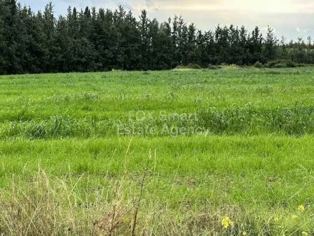 Terreno Residenziale in vendita