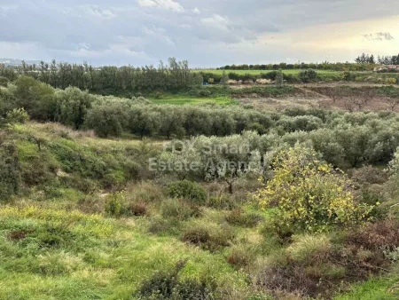 קרקע למגורים למכירה