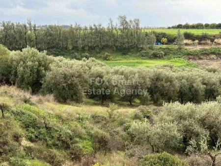 קרקע למגורים למכירה