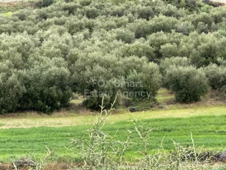 קרקע למגורים למכירה