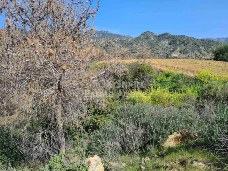 Οικιστικό Οικόπεδο προς πώληση