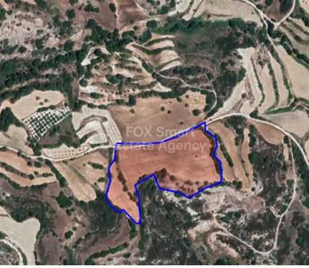 Polemi, Pafos