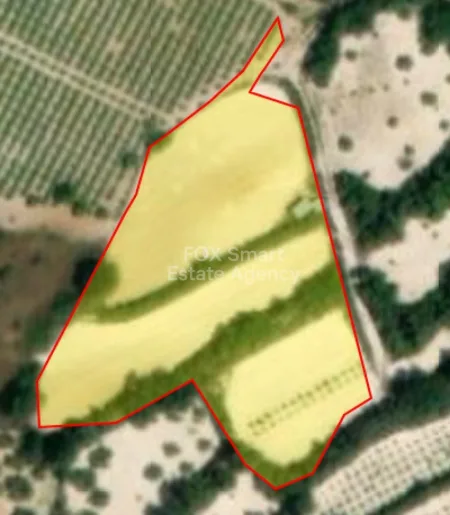 Koili, Pafos