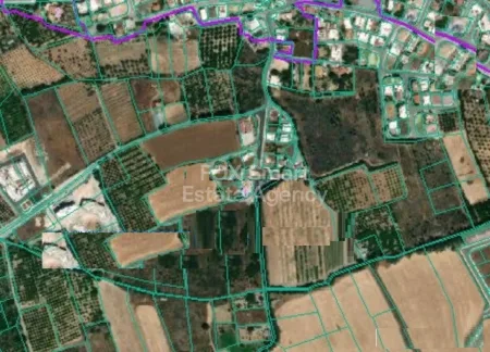 Trachoni, Limassol