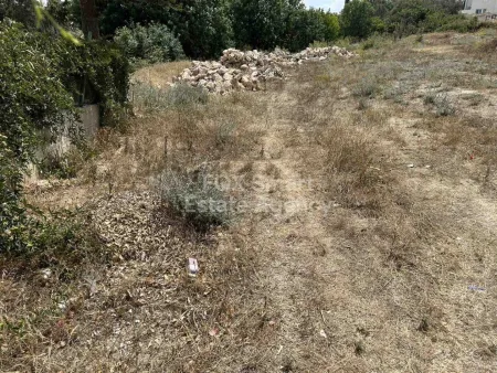 Konia, Pafos