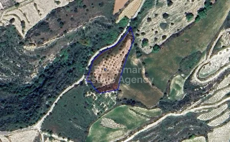 Koili, Pafos
