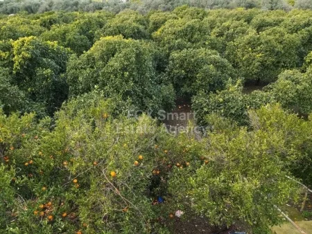 Terreno Residencial en venta