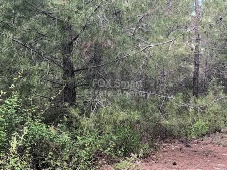 Residential Land