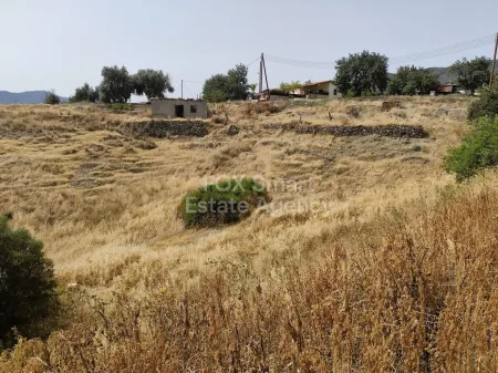 Residential Land for sale