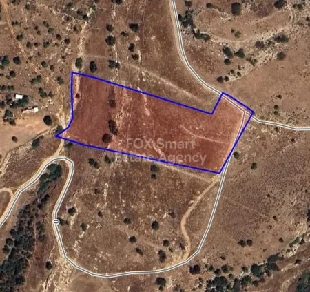 Pegeia, Pafos