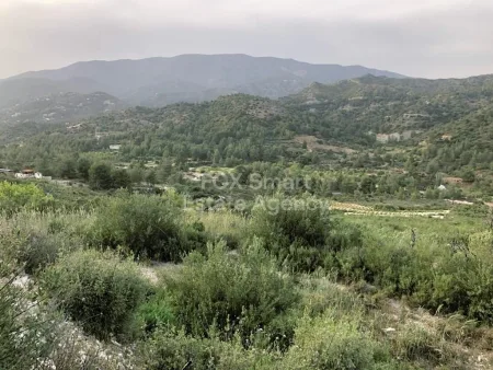 Terreno Residenziale in vendita