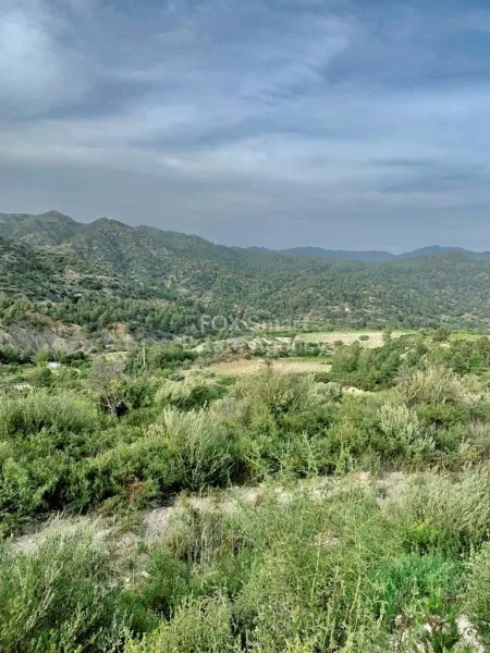 Terreno Residenziale in vendita