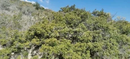 Terreno Residencial en venta