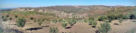 Choletria, Paphos