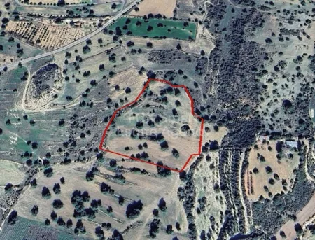 Residential Land for sale