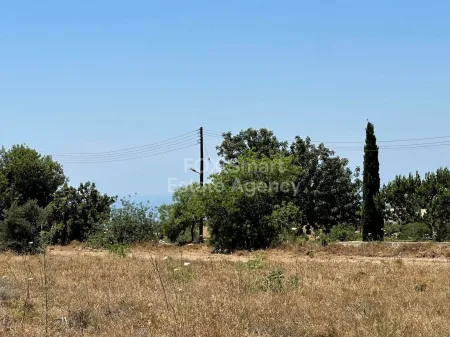 Mesogi, Pafos