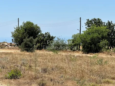 Residential Land for sale