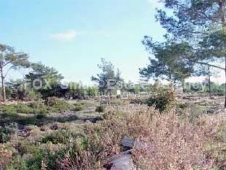Terreno Residenziale in vendita