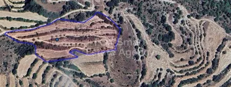 Amargeti, Pafos