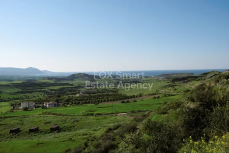 Steni, Pafos