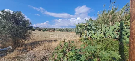住宅用地出售