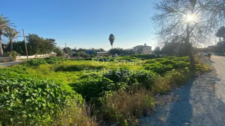 Chloraka, Paphos