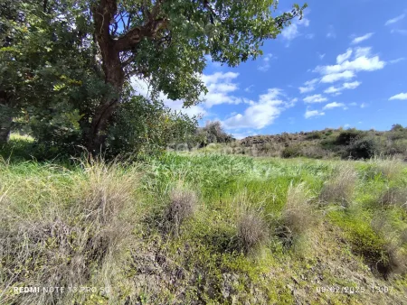 Residential Land for sale