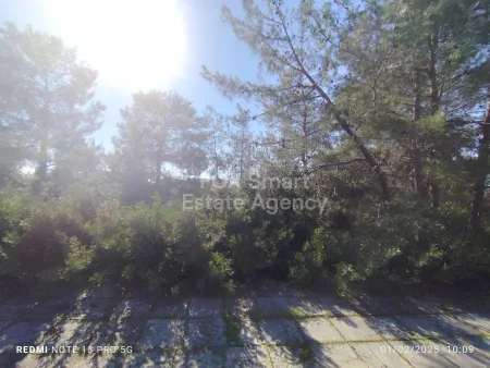 Residential Land for sale