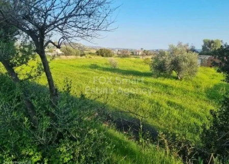 Parekklisia, Limassol