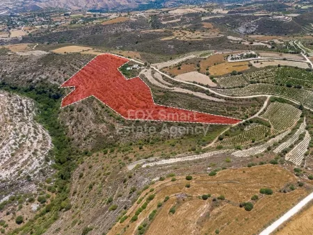 Πάφος, Πάφος