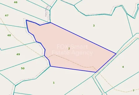 Anarita, Pafos