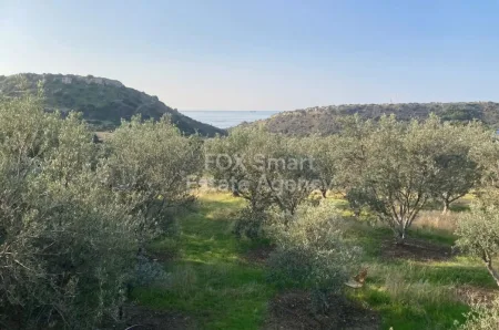 Άγιος Τύχωνας, Λεμεσός