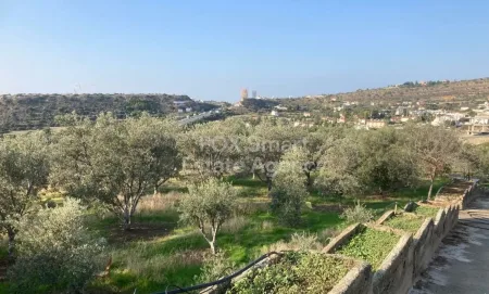 קרקע למגורים למכירה