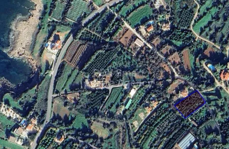 Residential Land for sale